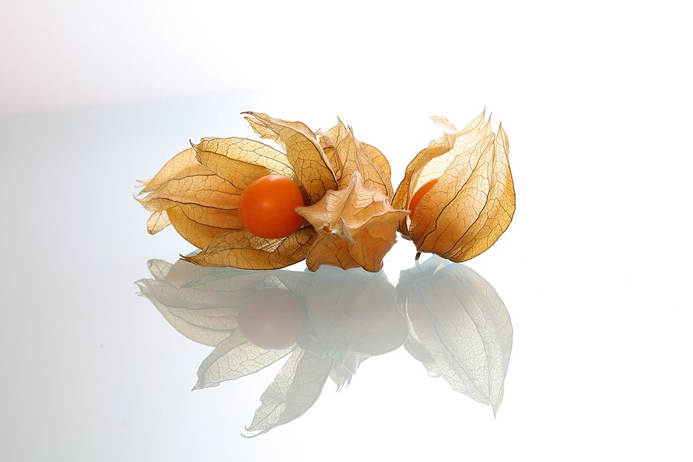 physalis.a few.fresshhh