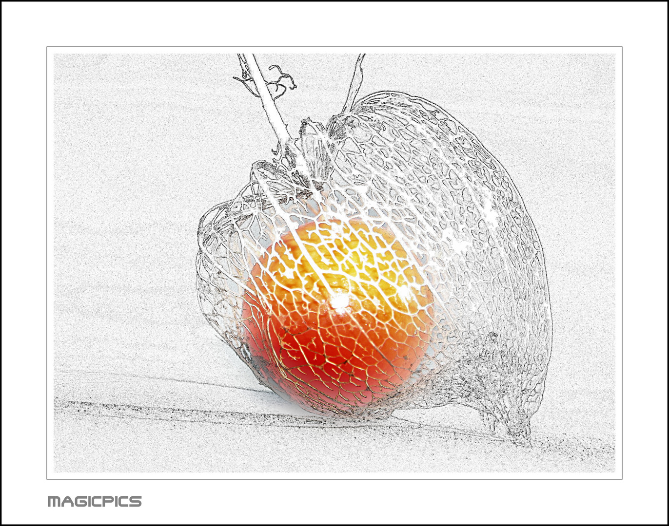 PHYSALIS...mal anders