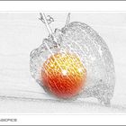 PHYSALIS...mal anders