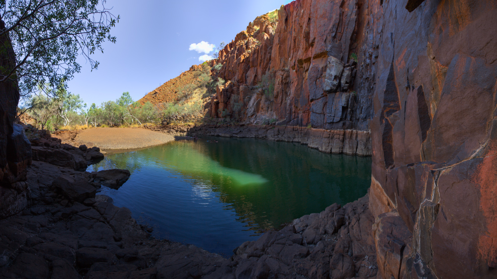 Phyton Pool WA