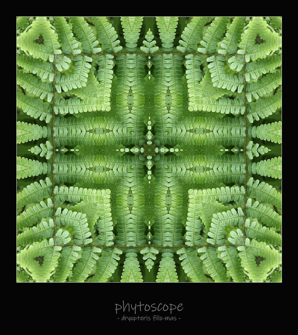 Phytoscope 05