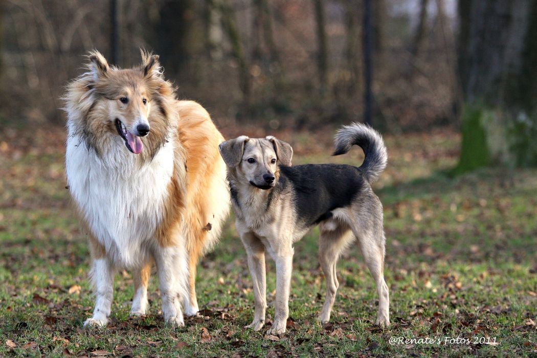 Pia und Oscar warten auf die Anderen