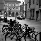 Piacenza, piazza Cavalli