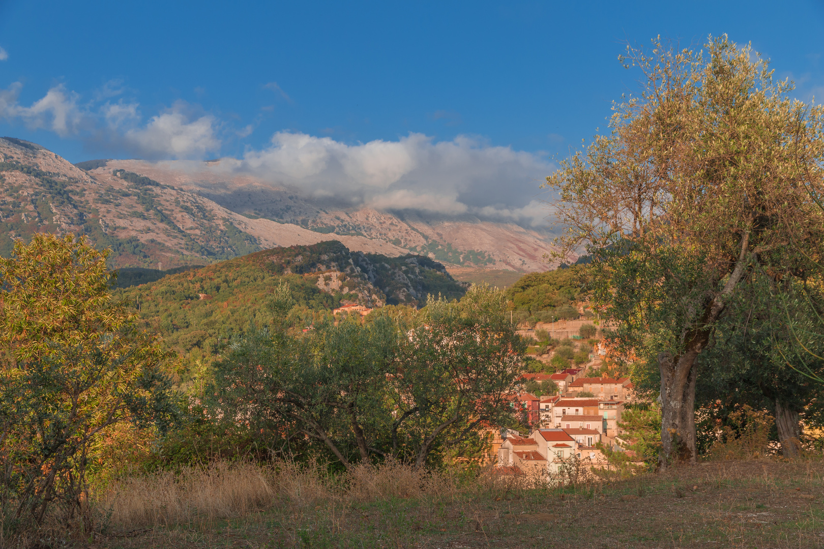 Piaggine in der Mittagssonne, Cilento