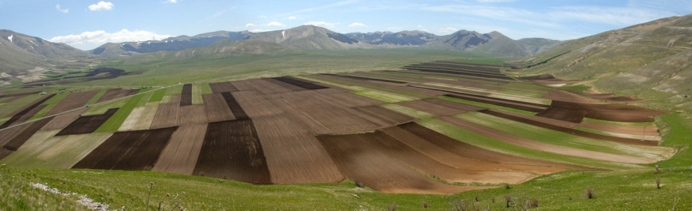 Pian Grande di Cstelluccio