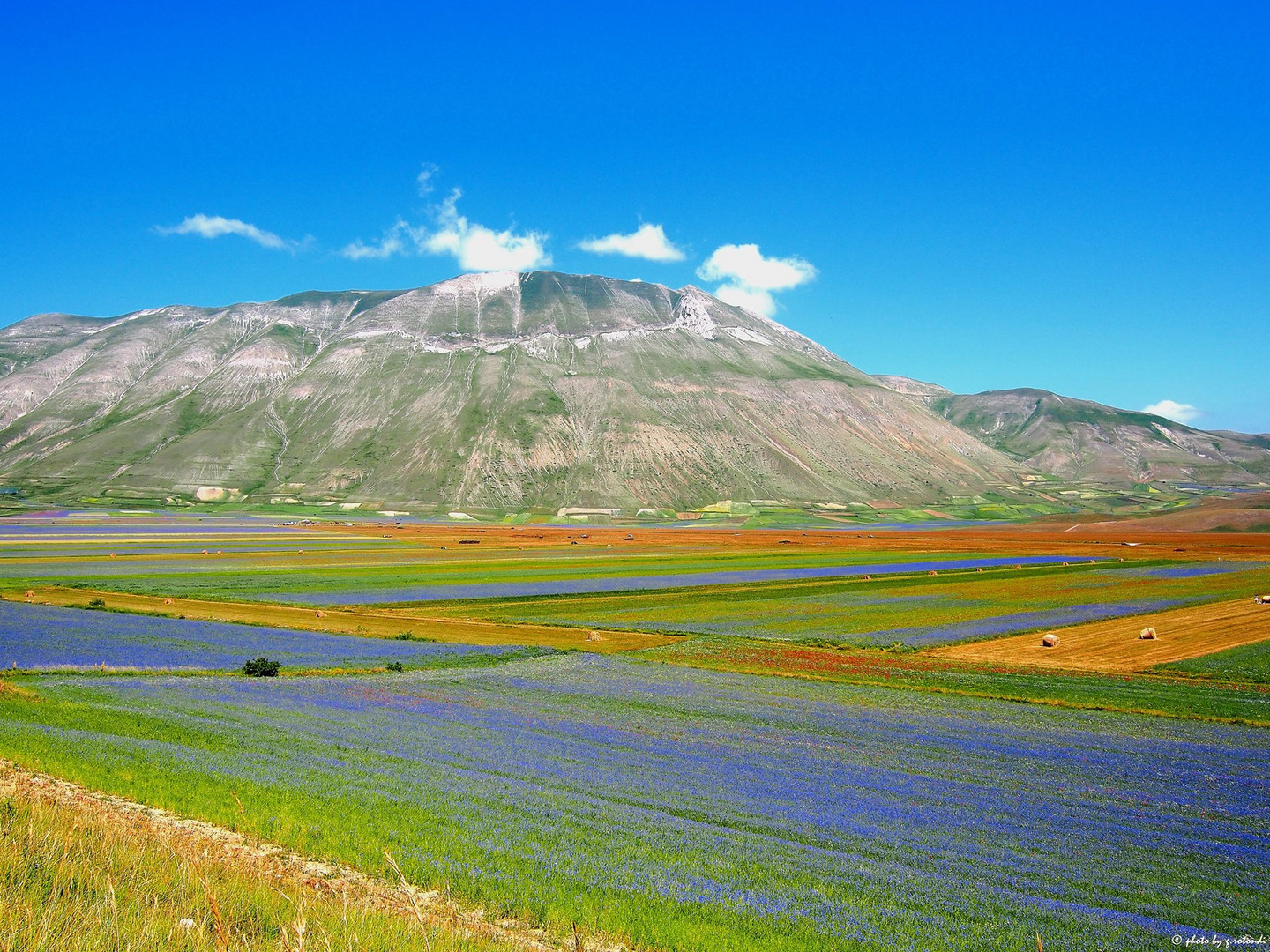 Piana di Castelluccio