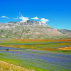 Piana di Castelluccio