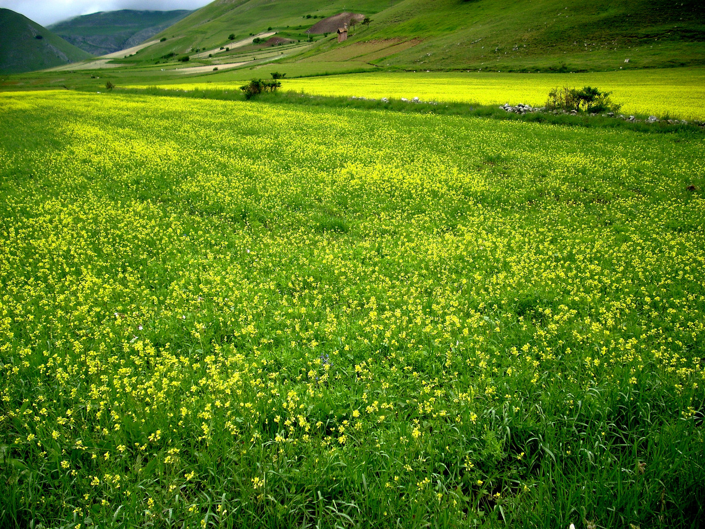 Piana di Castelluccio