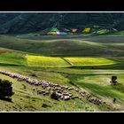  piana di Castelluccio