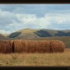 Piana di Castelluccio