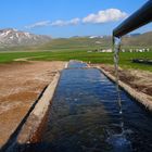 piane di castelluccio norcia