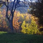 piani d'Autunno