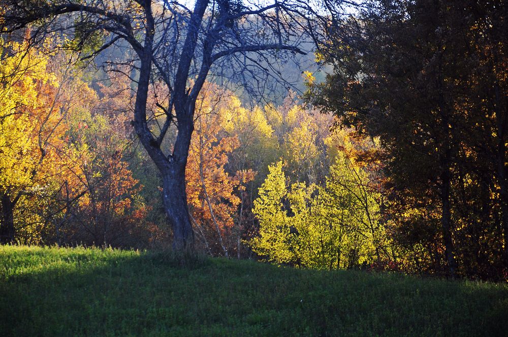 piani d'Autunno