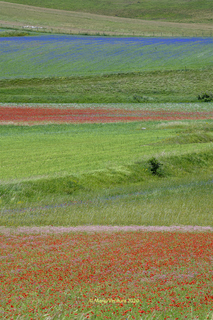 Piani nel Piano