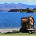 pianist at lake wanaka