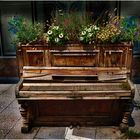 Pianist gesucht