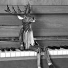 piano deer