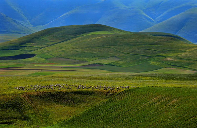 Piano di Castelluccio