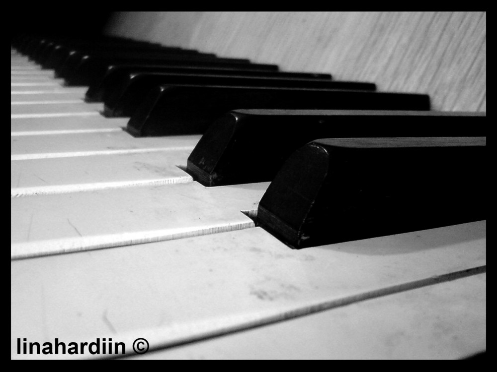 Piano, do you want to play?