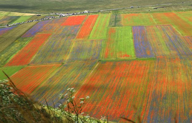 Piano Grande in voller Farbenpracht