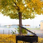 Piano im Herbst