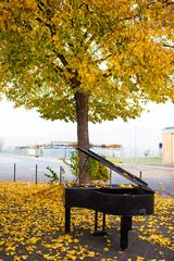 Piano im Herbst