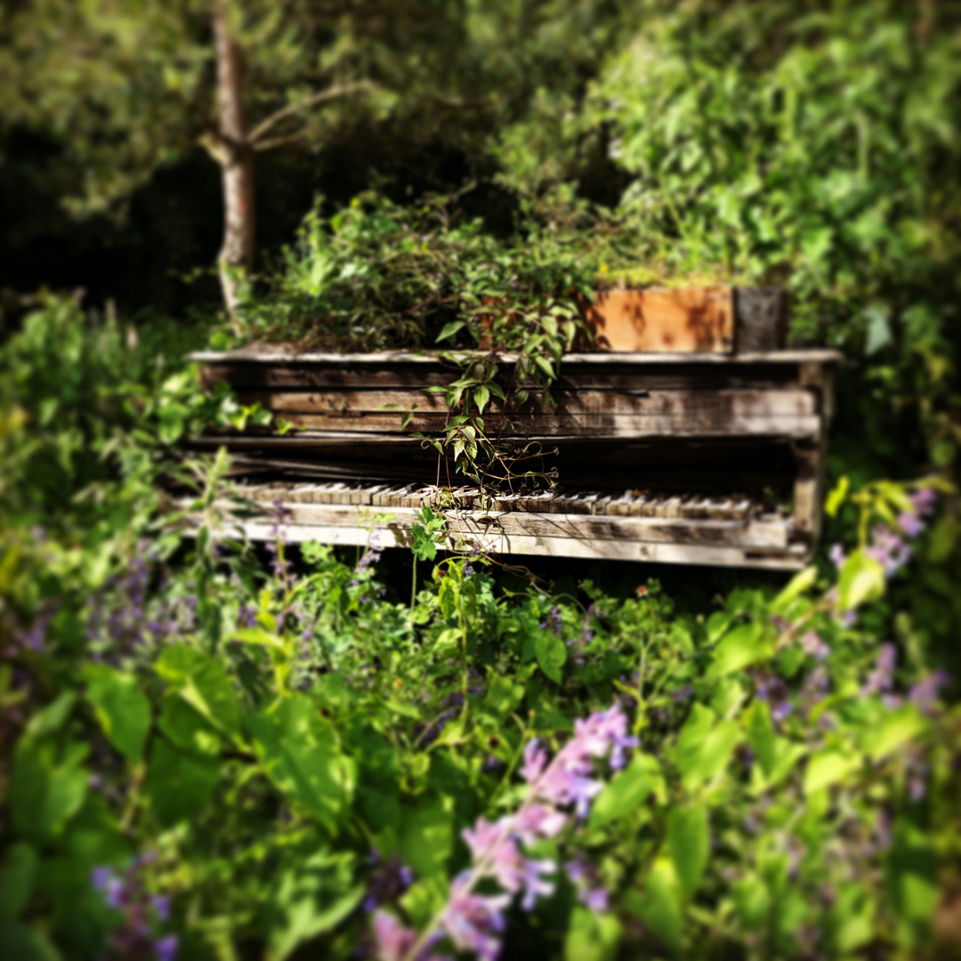 Piano im Wald