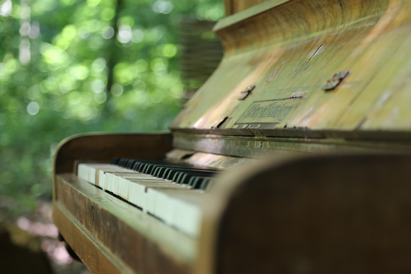 Piano im Wald