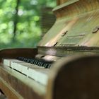 Piano im Wald