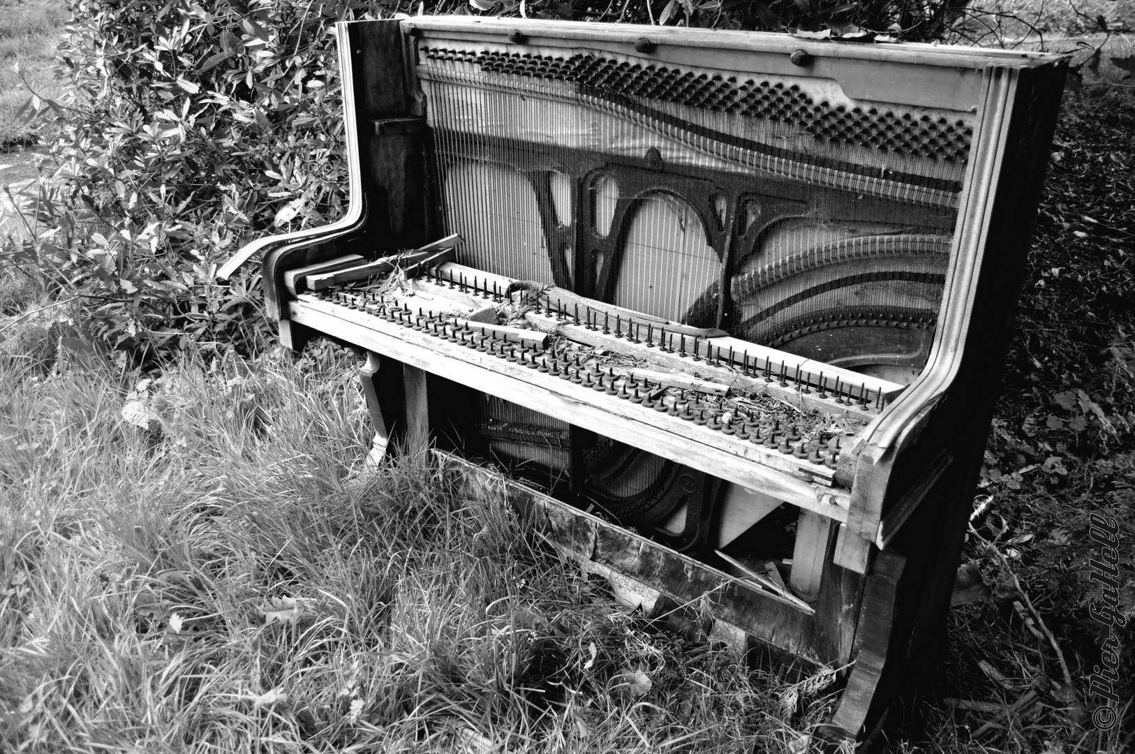 Piano jardinier