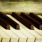 Piano Keyboard