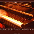 Piano - Musik ist Leidenschaft