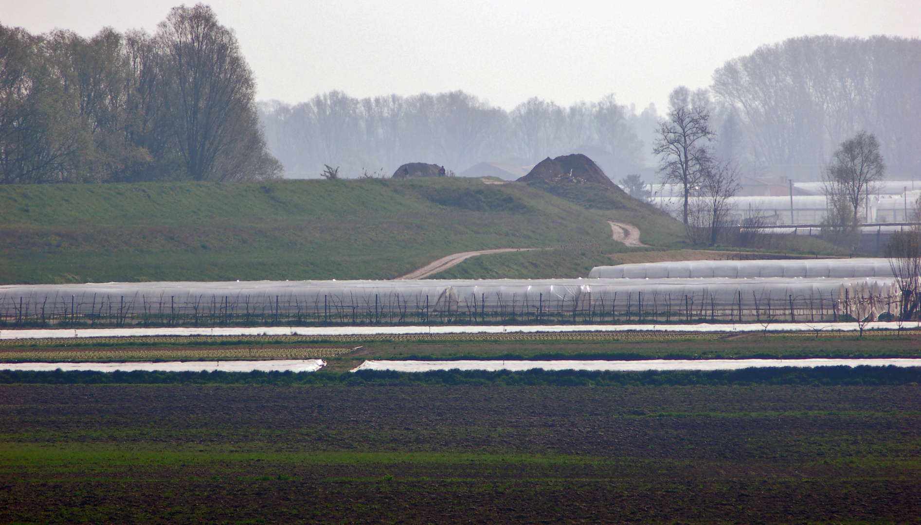 PIANURA PADANA AUTUNNALE