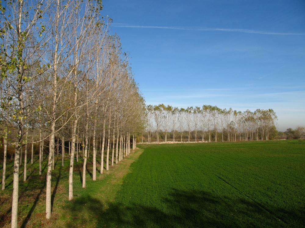 Pianura Padana