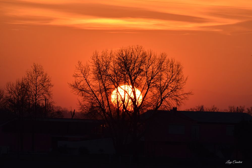 Pianura padana o savana? Foto Immagini natura Foto su