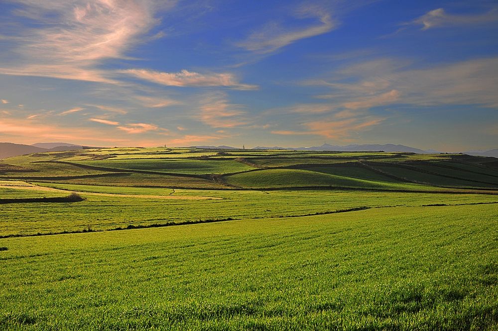 Pianure del Medio Campidano Foto Immagini paesaggi, campagna, la mia