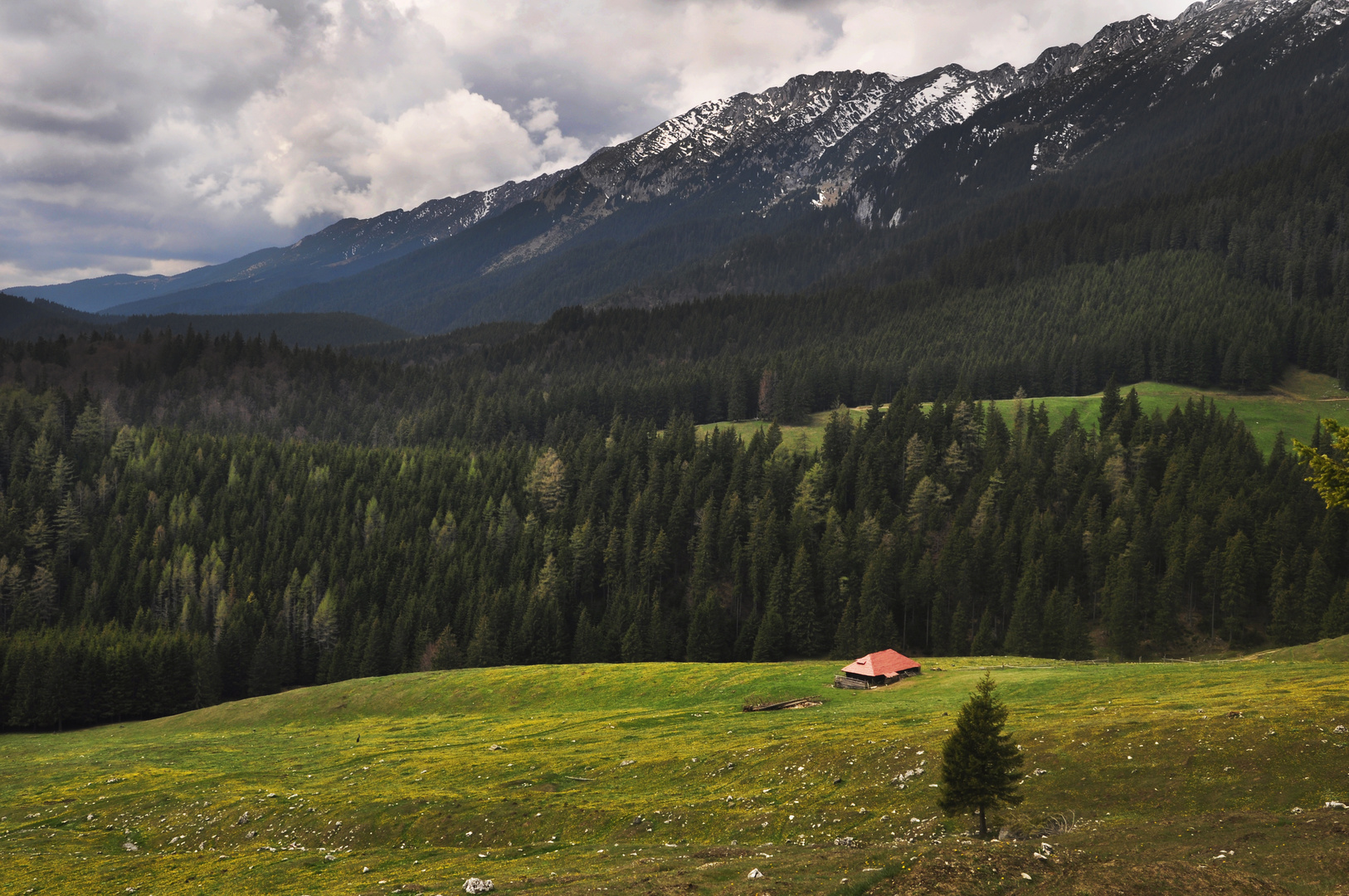 Piatra Craiului Mountains