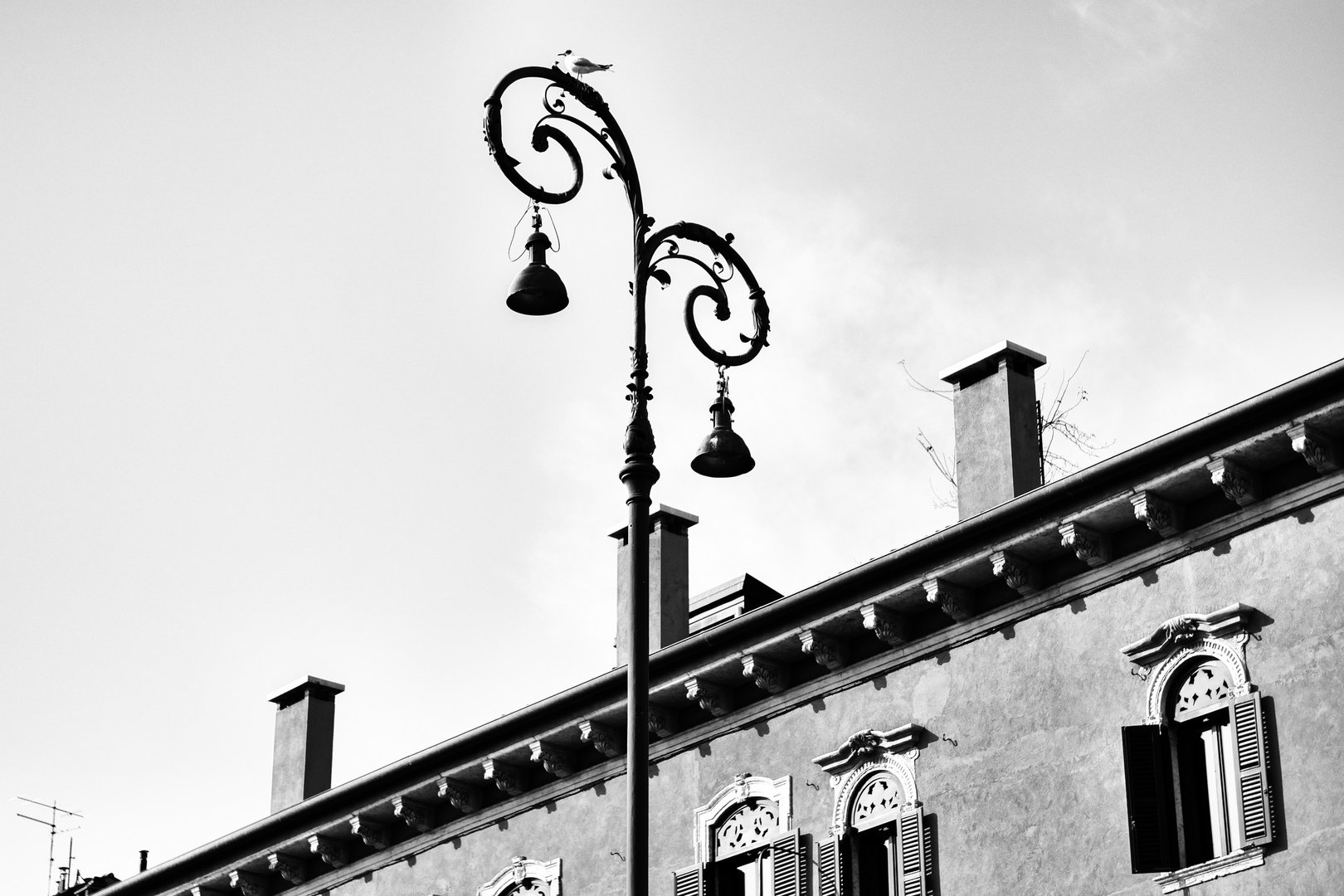 Piazza Bra a naso in su, Verona