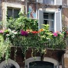 Piazza Campo de' Fiori