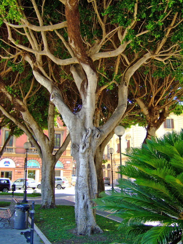 piazza carmine - cagliari