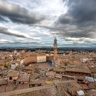 Piazza del campo