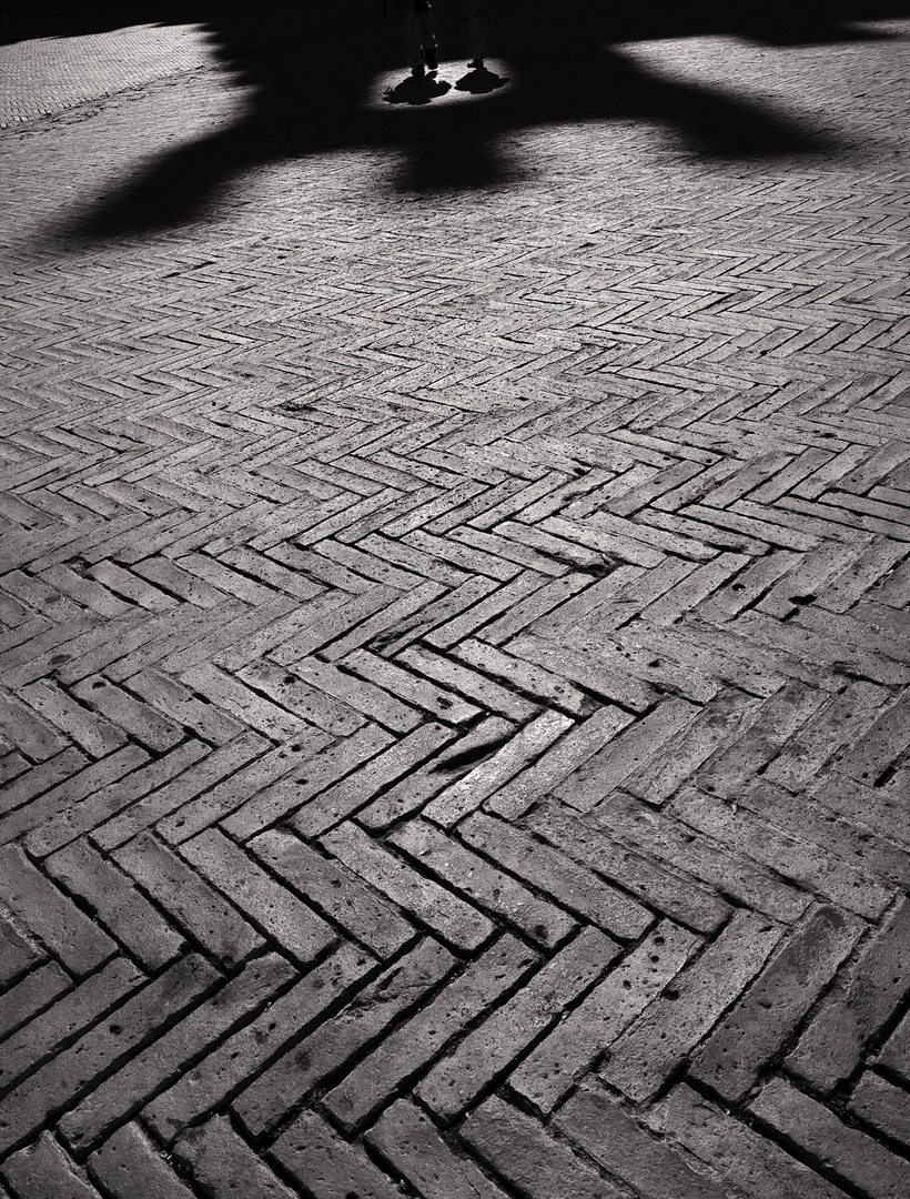 Piazza del Campo, a Siena. ottobre 2011