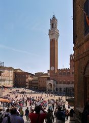 Piazza del Campo II