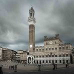 Piazza del Campo II