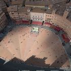 Piazza del Campo vom Turm des Palazzo Pubblico