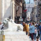 Piazza del popolo