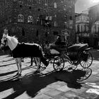 Piazza della Signoria