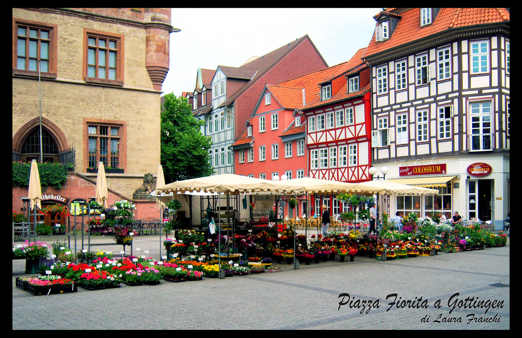 Piazza fiorita a Gottingen