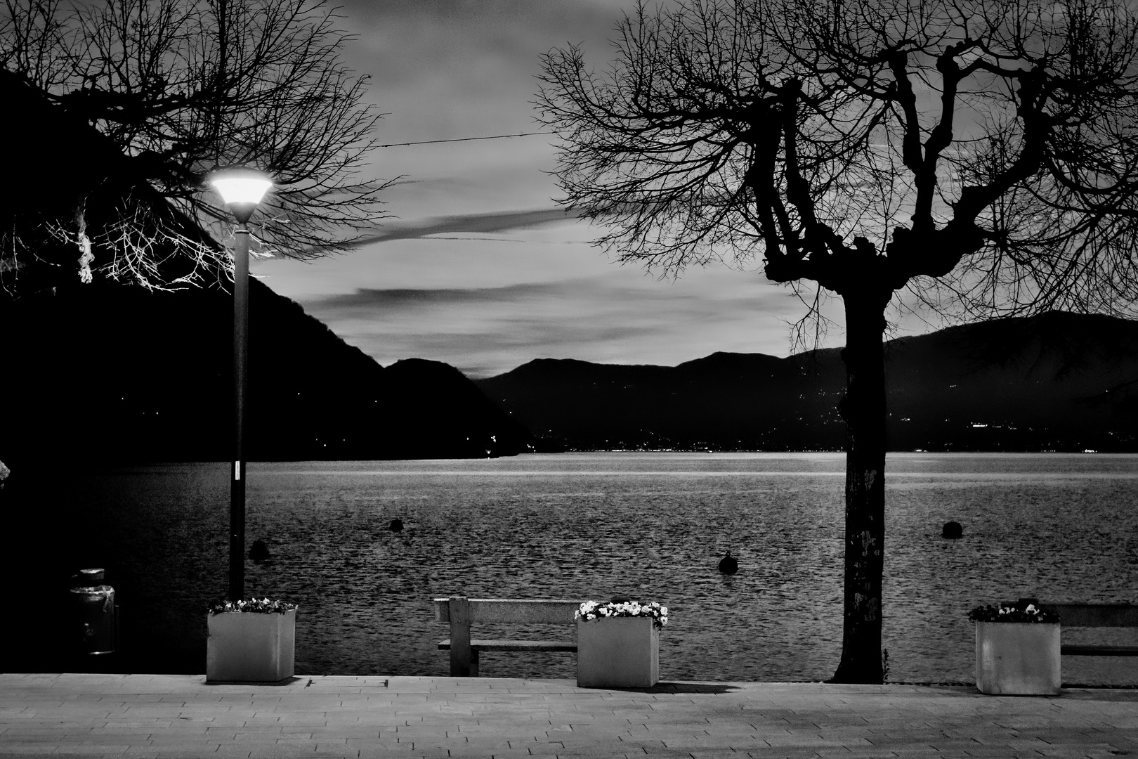 Piazza lago di sera