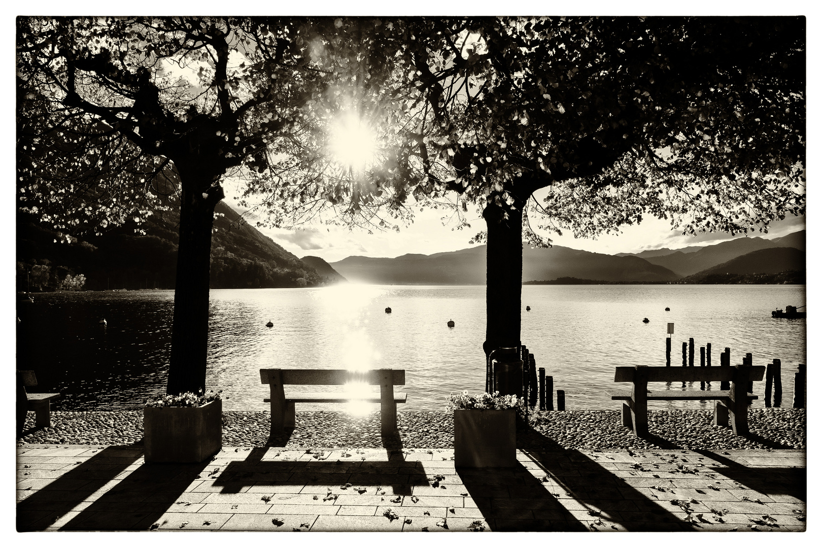 Piazza Lago in controluce Foto Immagini paesaggi, laghi e fiumi